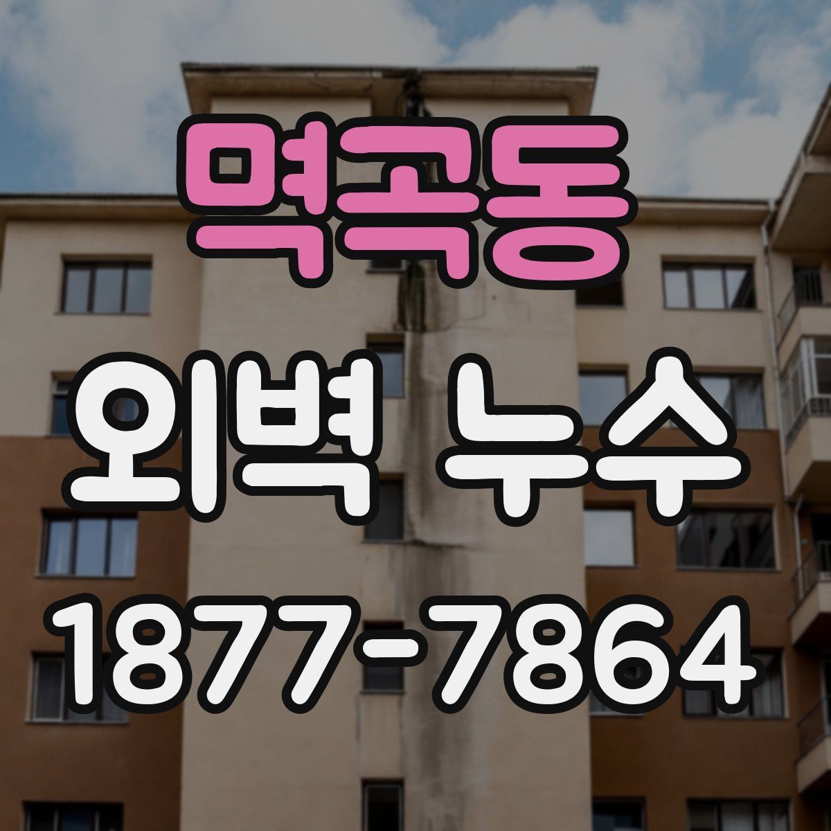 멱곡동 외벽 누수