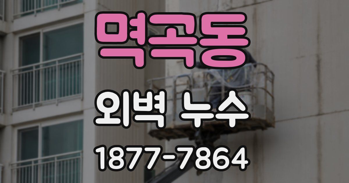멱곡동 외벽 누수