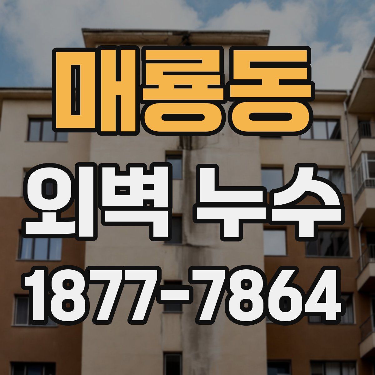 매룡동 외벽 누수