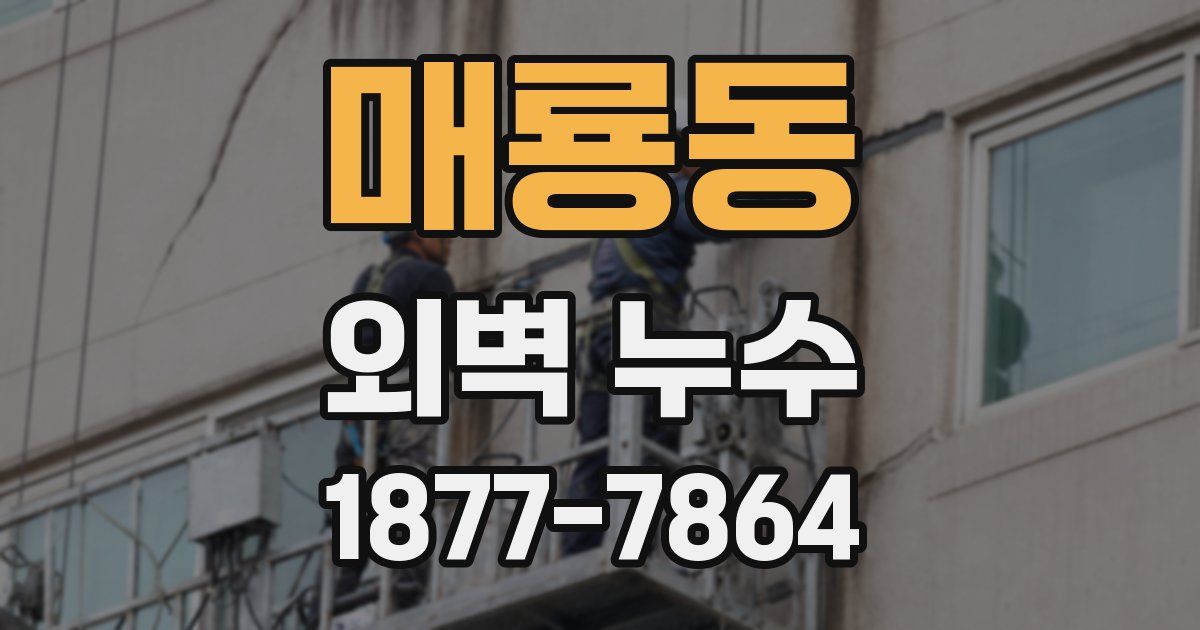 매룡동 외벽 누수