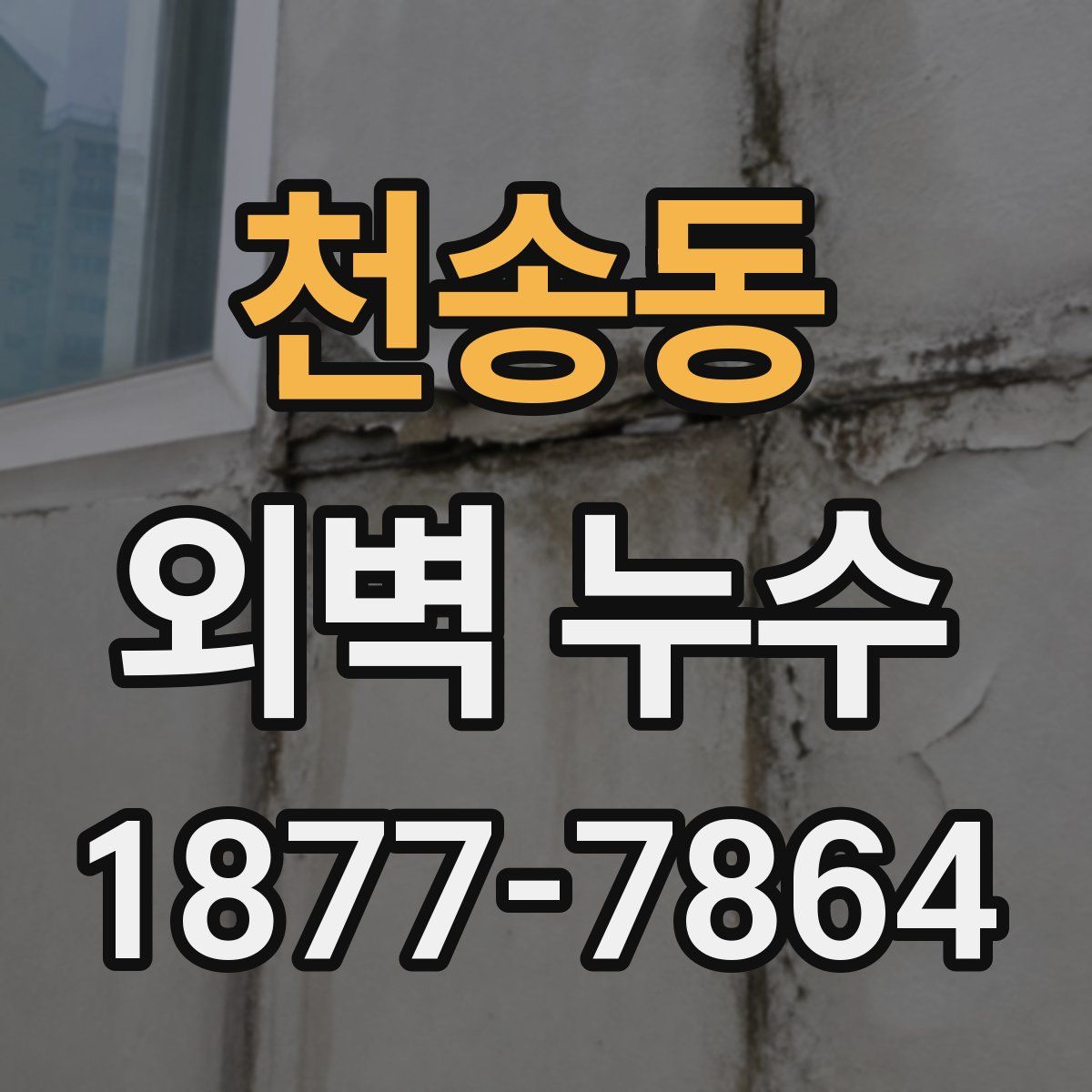 천송동 외벽 누수