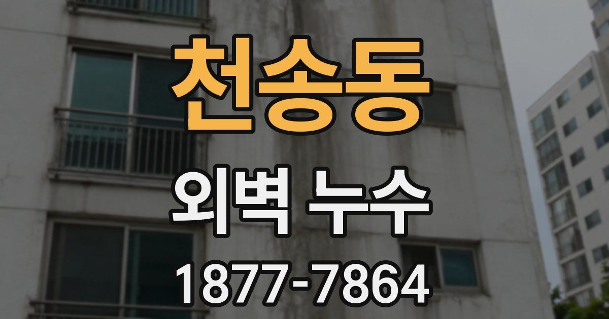 천송동 외벽 누수