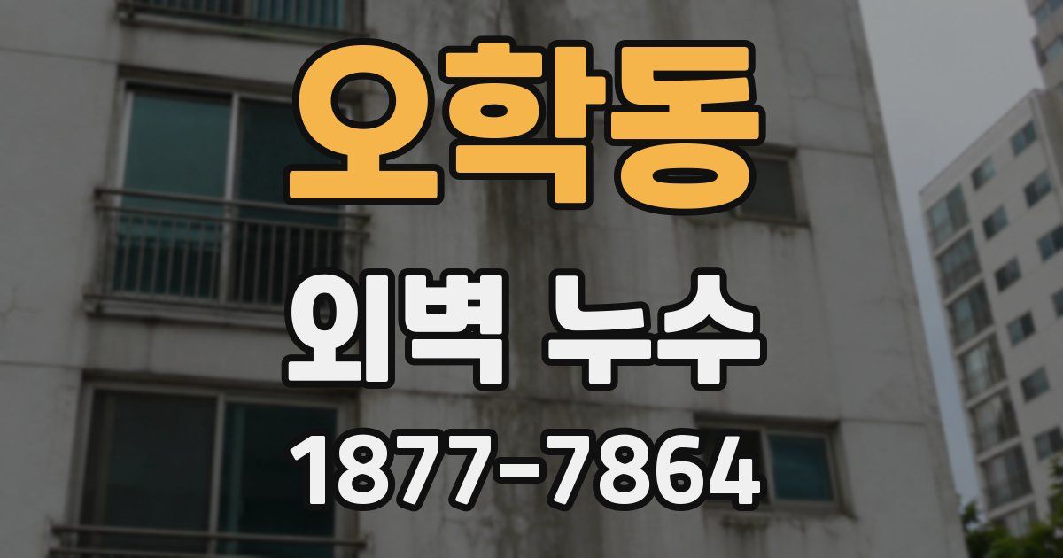 오학동 외벽 누수