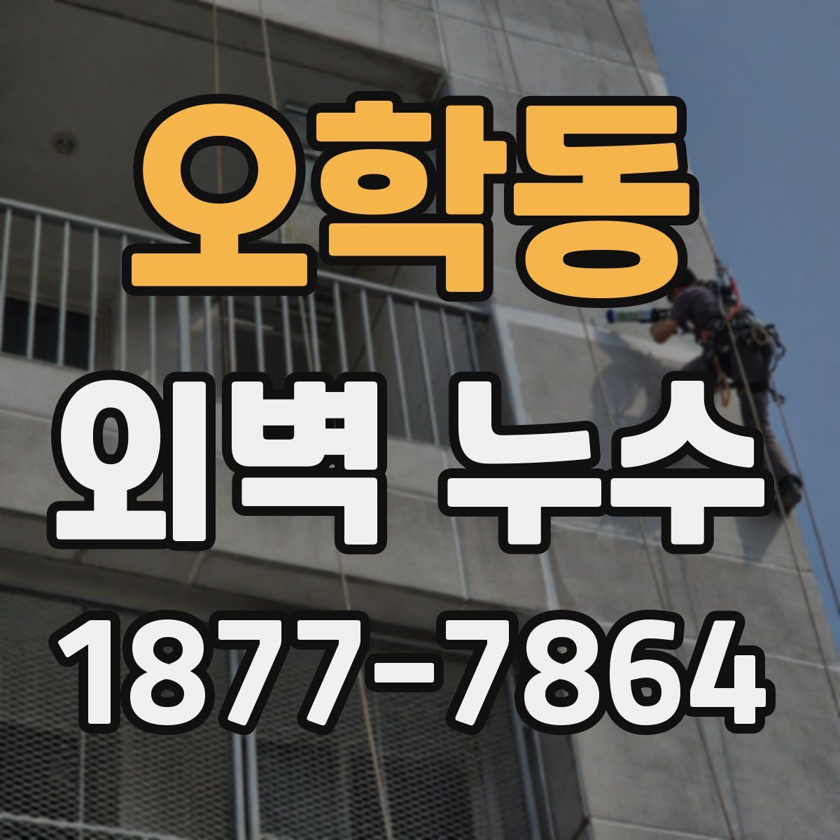 오학동 외벽 누수