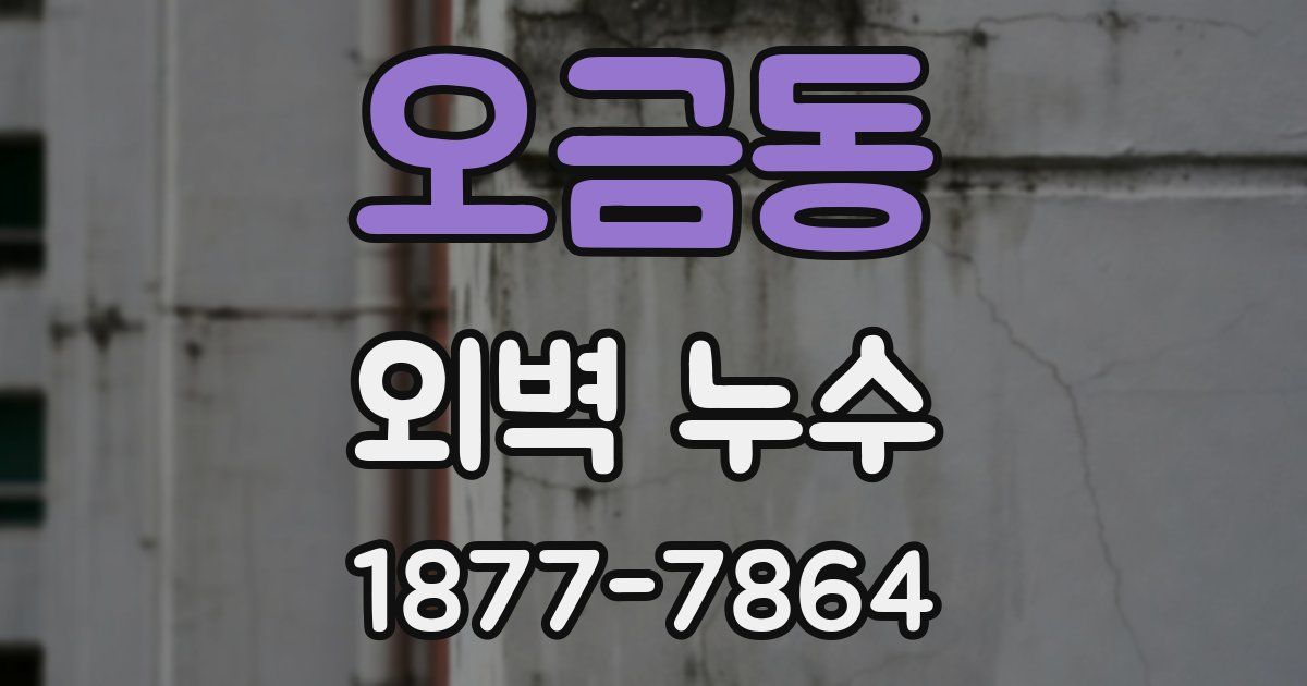 오금동 외벽 누수