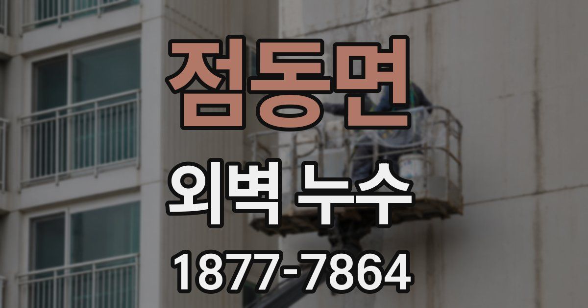 점동면 외벽 누수