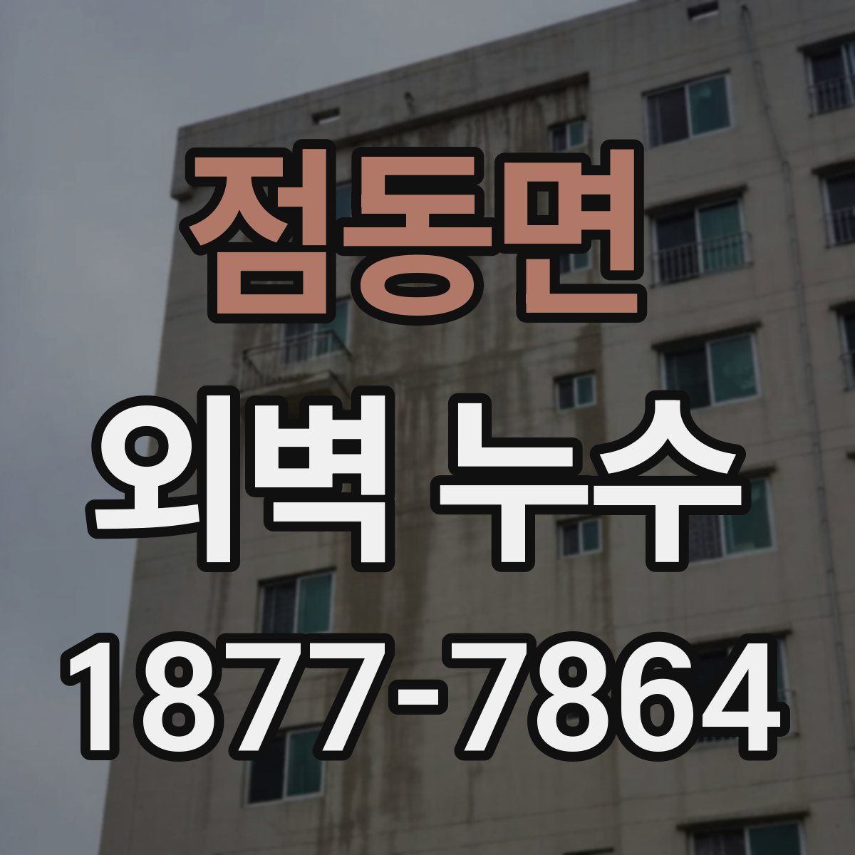 점동면 외벽 누수