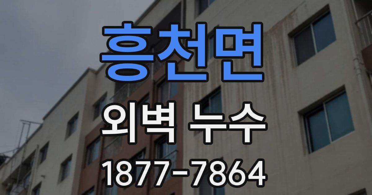 흥천면 외벽 누수