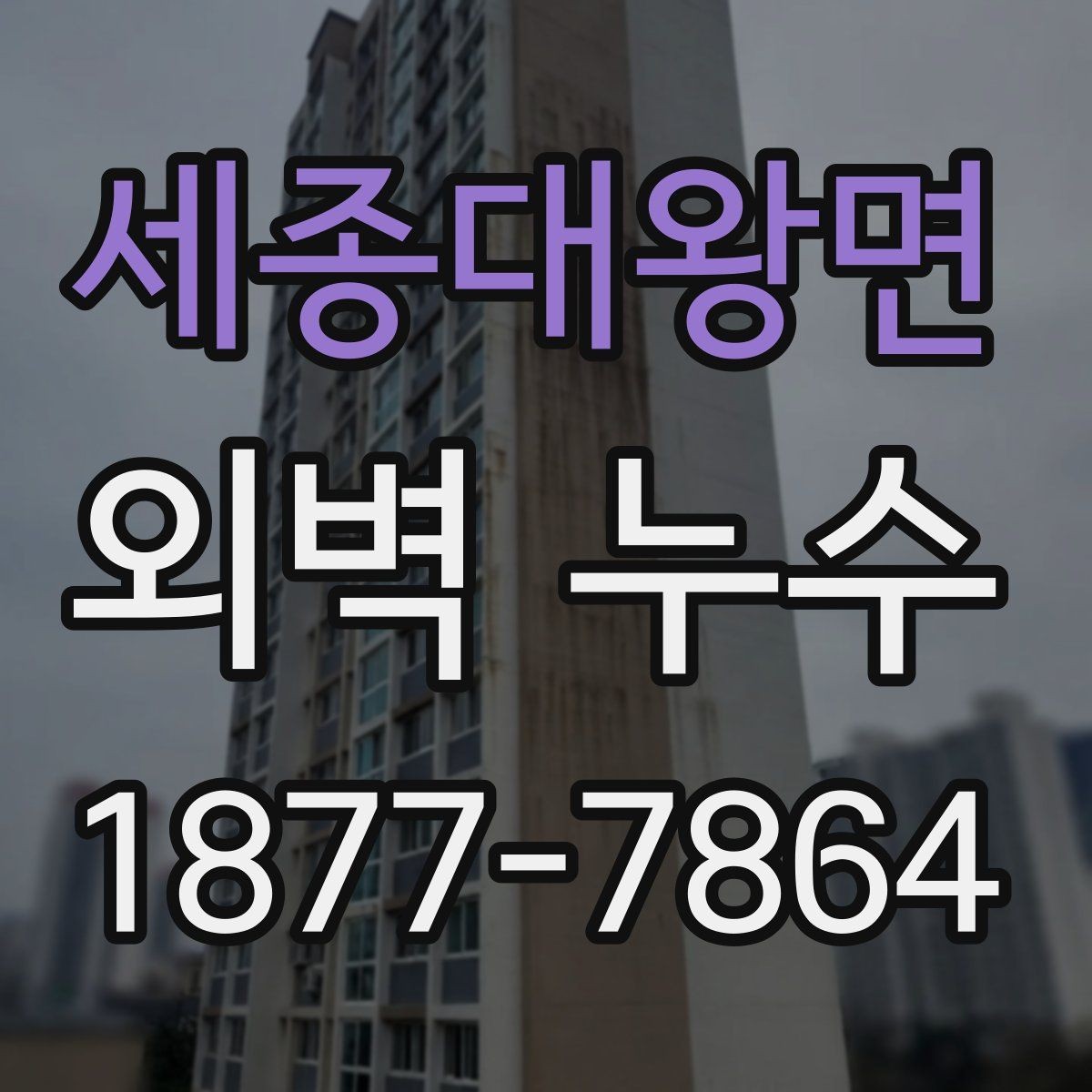 세종대왕면 외벽 누수 재발을 줄이는 관리 포인트