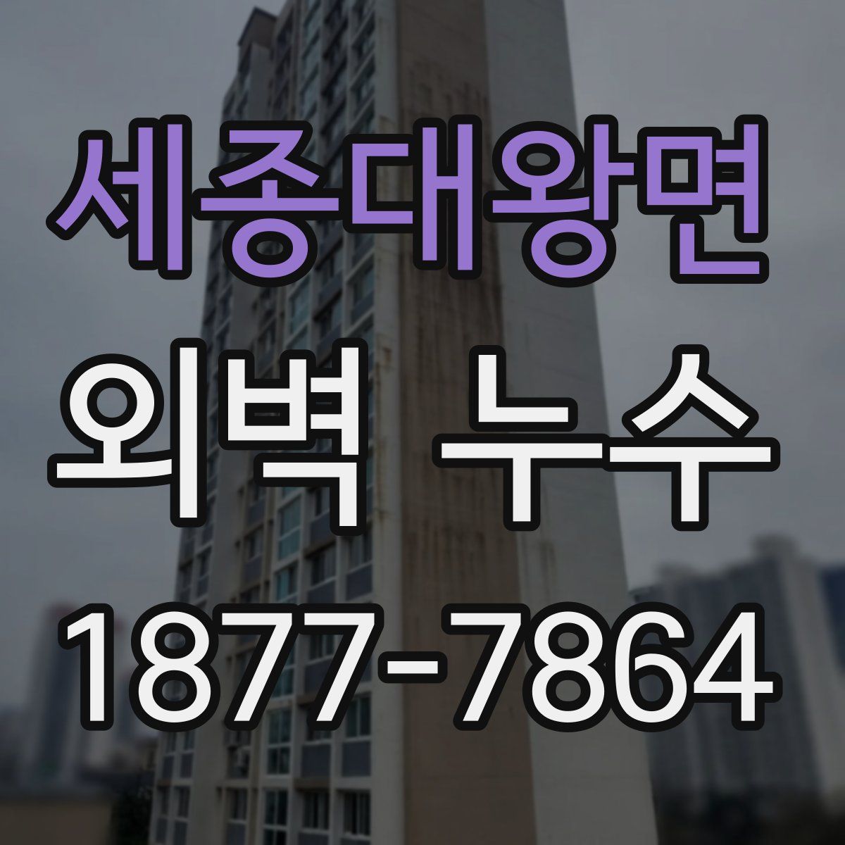 세종대왕면 외벽 누수