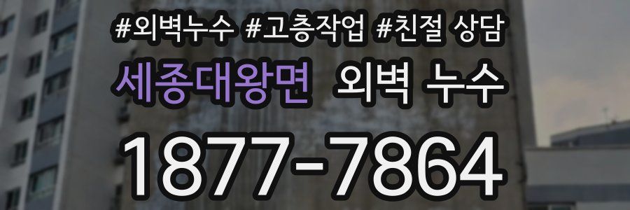 세종대왕면 외벽 누수