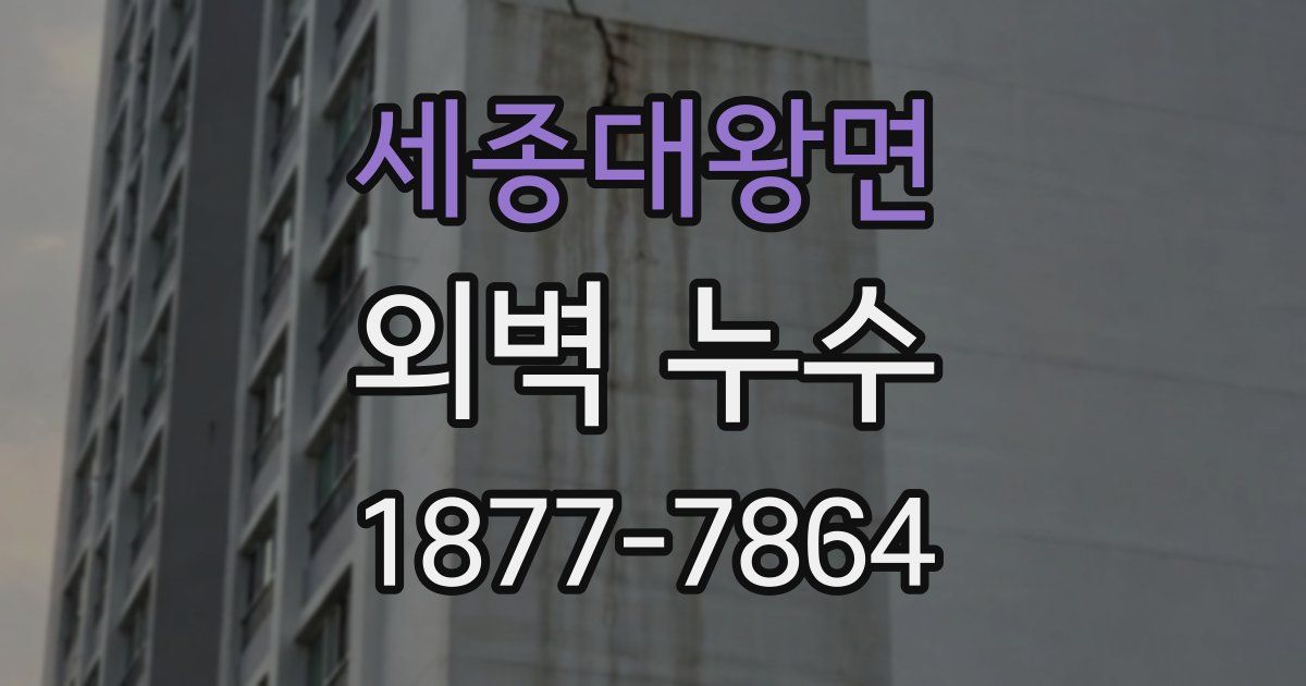 세종대왕면 외벽 누수