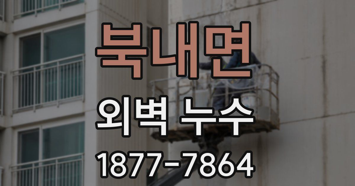 북내면 외벽 누수