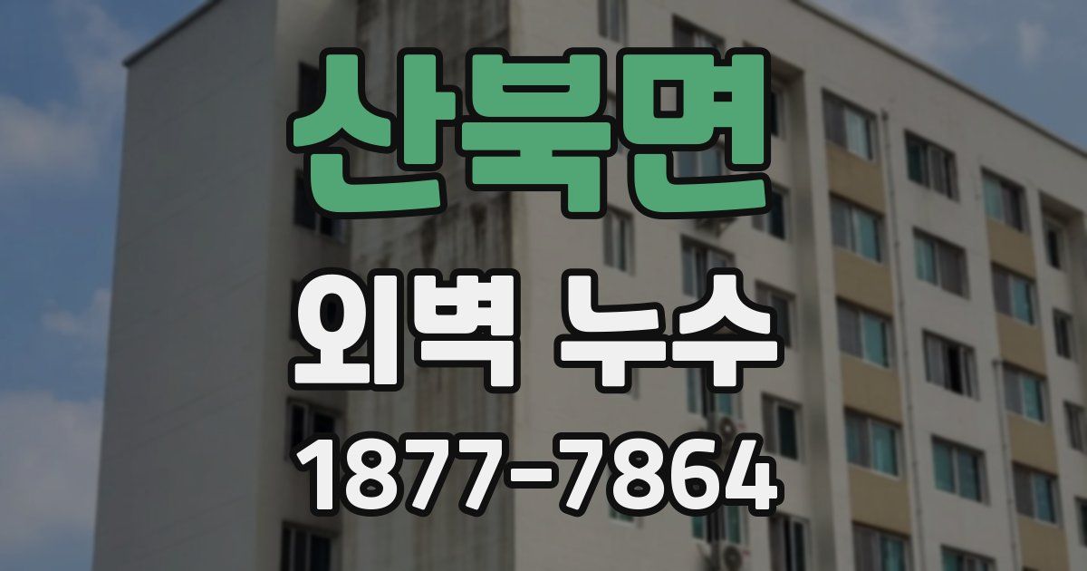 산북면 외벽 누수