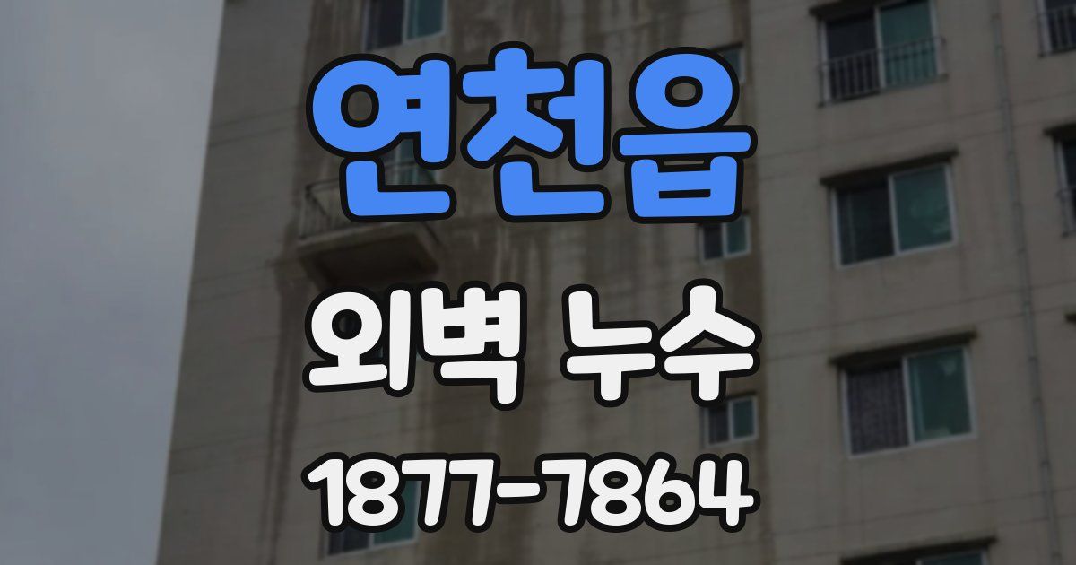 연천읍 외벽 누수