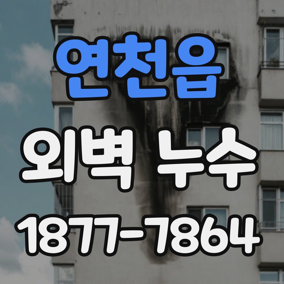 연천읍 외벽 누수
