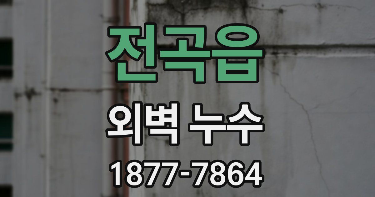 전곡읍 외벽 누수