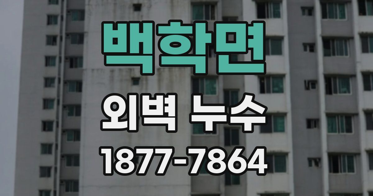 백학면 외벽 누수
