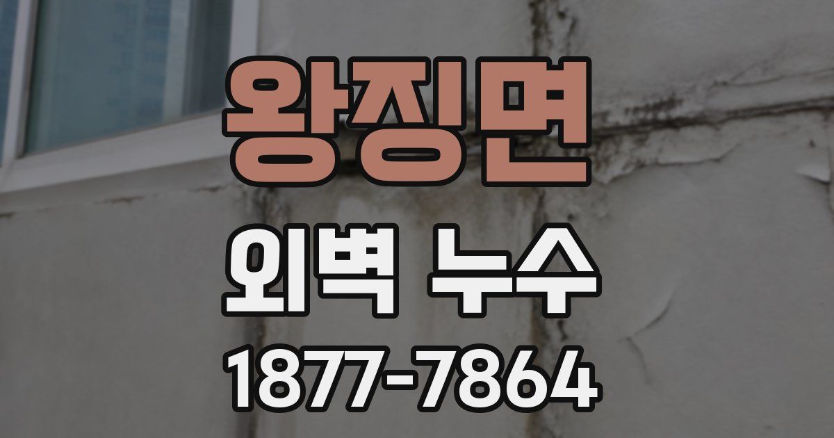 왕징면 외벽 누수