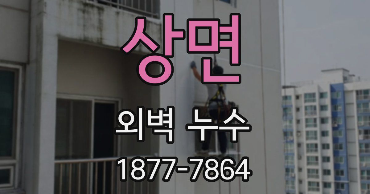 상면 외벽 누수