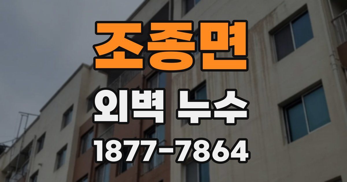 조종면 외벽 누수