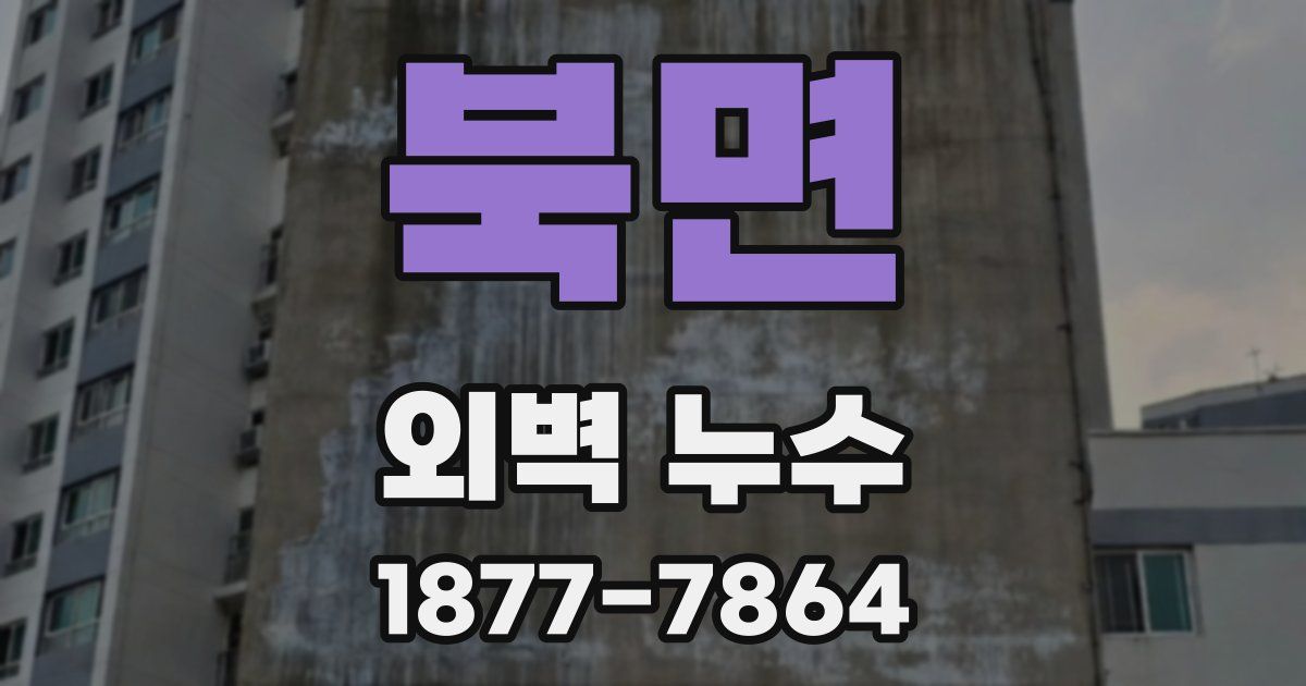 북면 외벽 누수