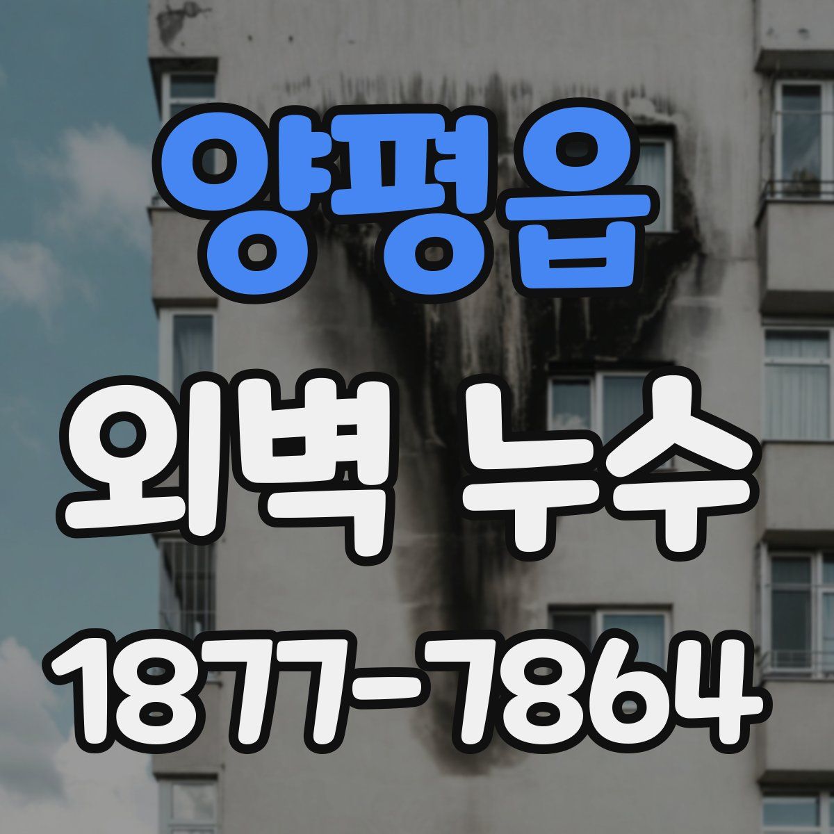양평읍 외벽 누수
