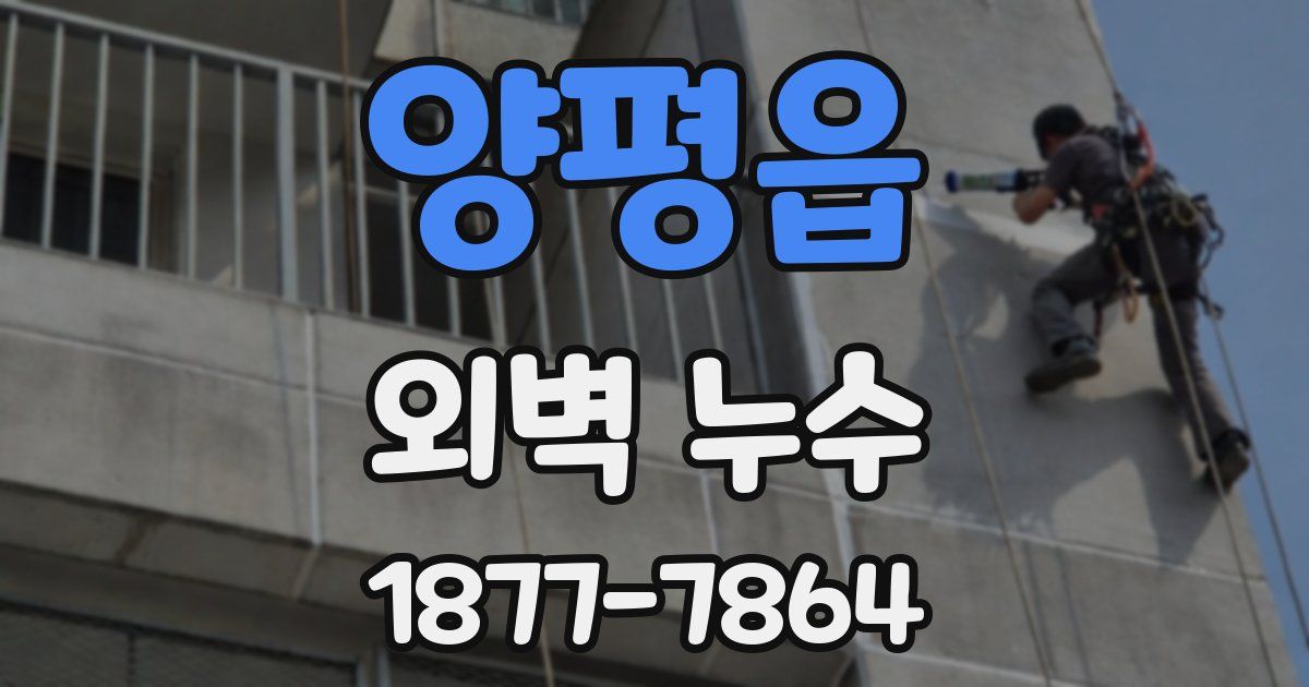 양평읍 외벽 누수