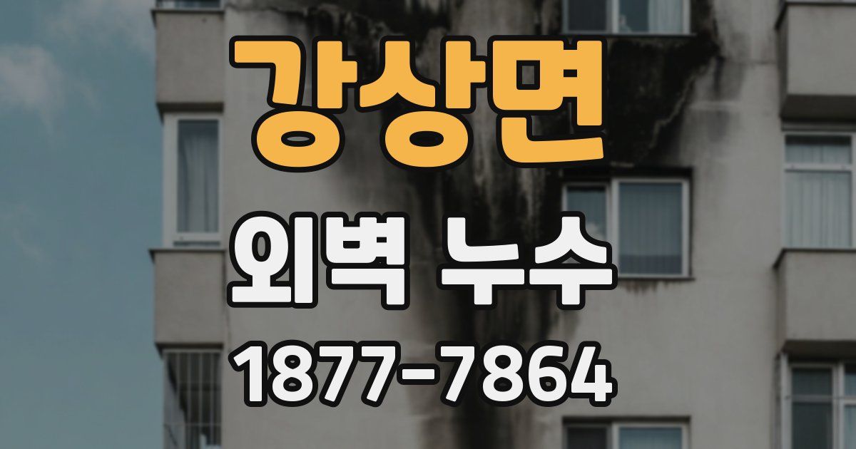 강상면 외벽 누수