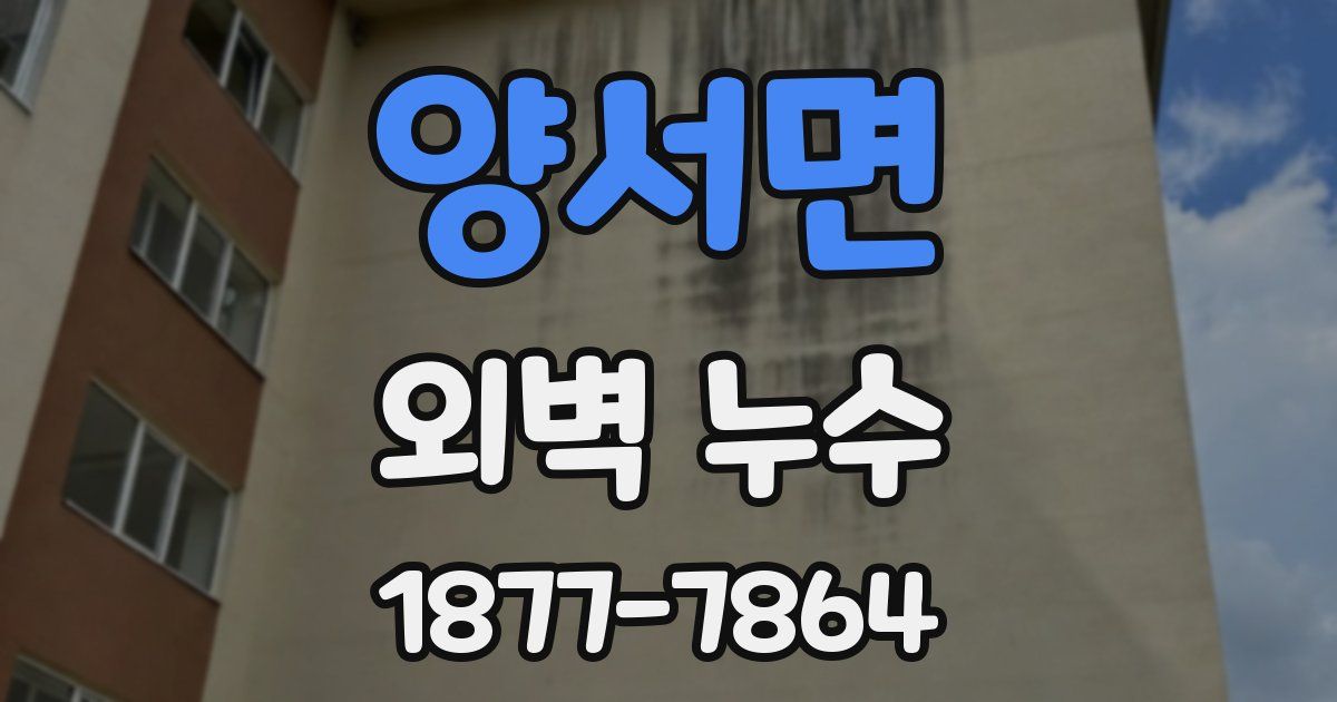 양서면 외벽 누수