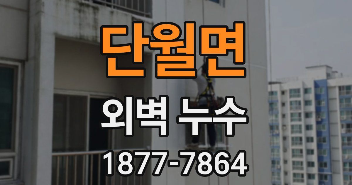 단월면 외벽 누수