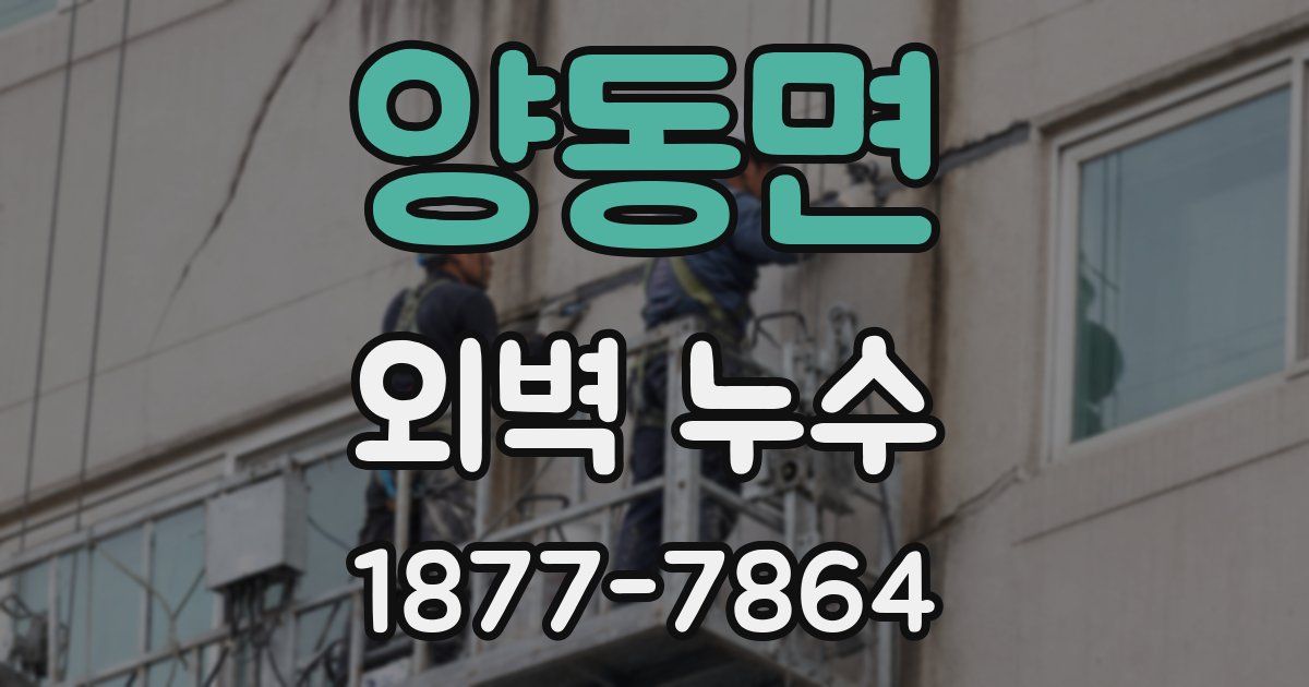 양동면 외벽 누수