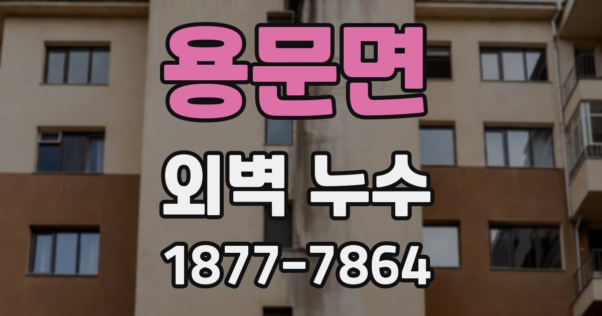 용문면 외벽 누수