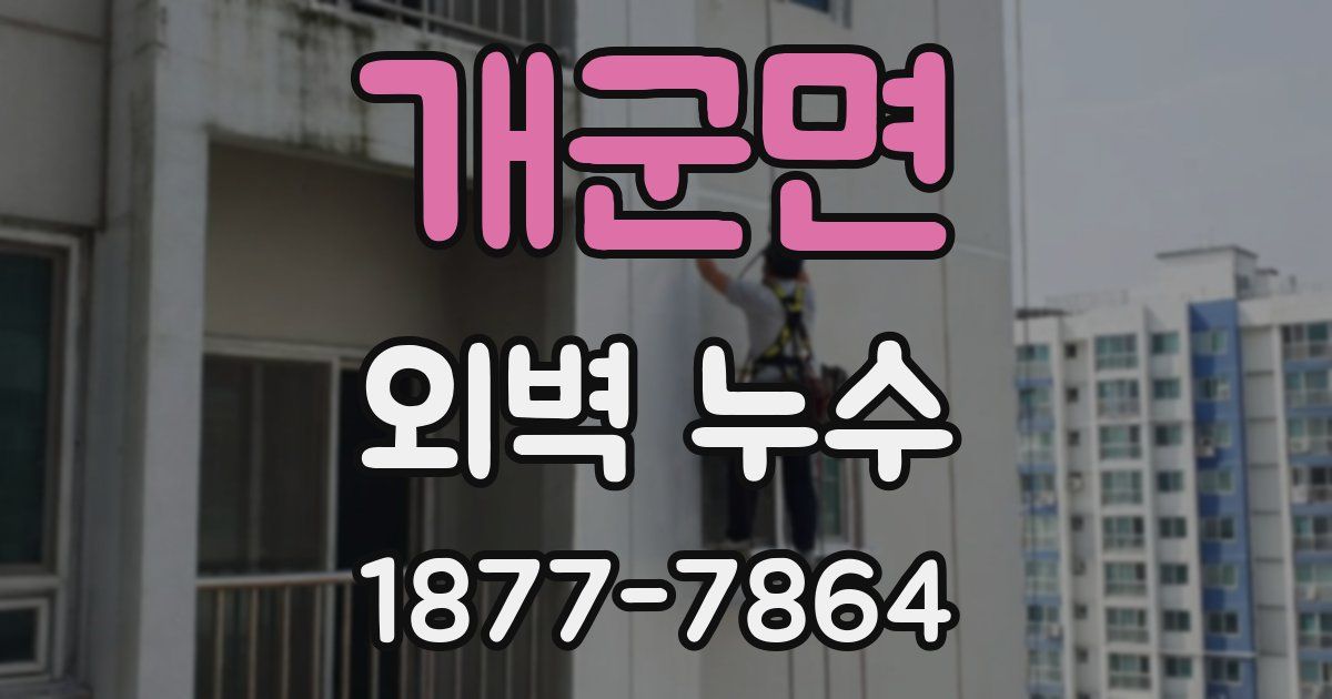 개군면 외벽 누수