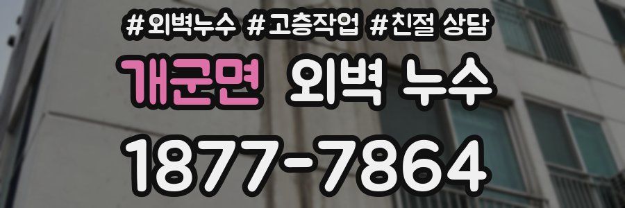 개군면 외벽 누수