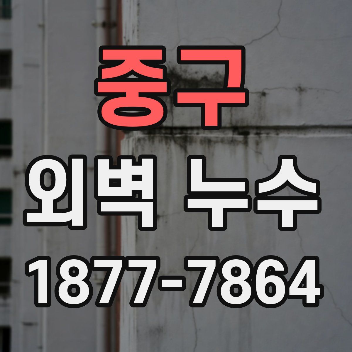 중구 외벽 누수