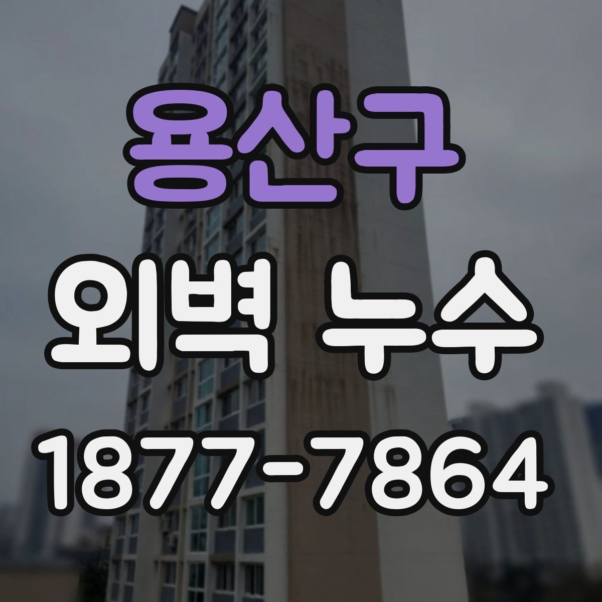 용산구 외벽 누수 발생 아파트와 단독주택 점검 차이