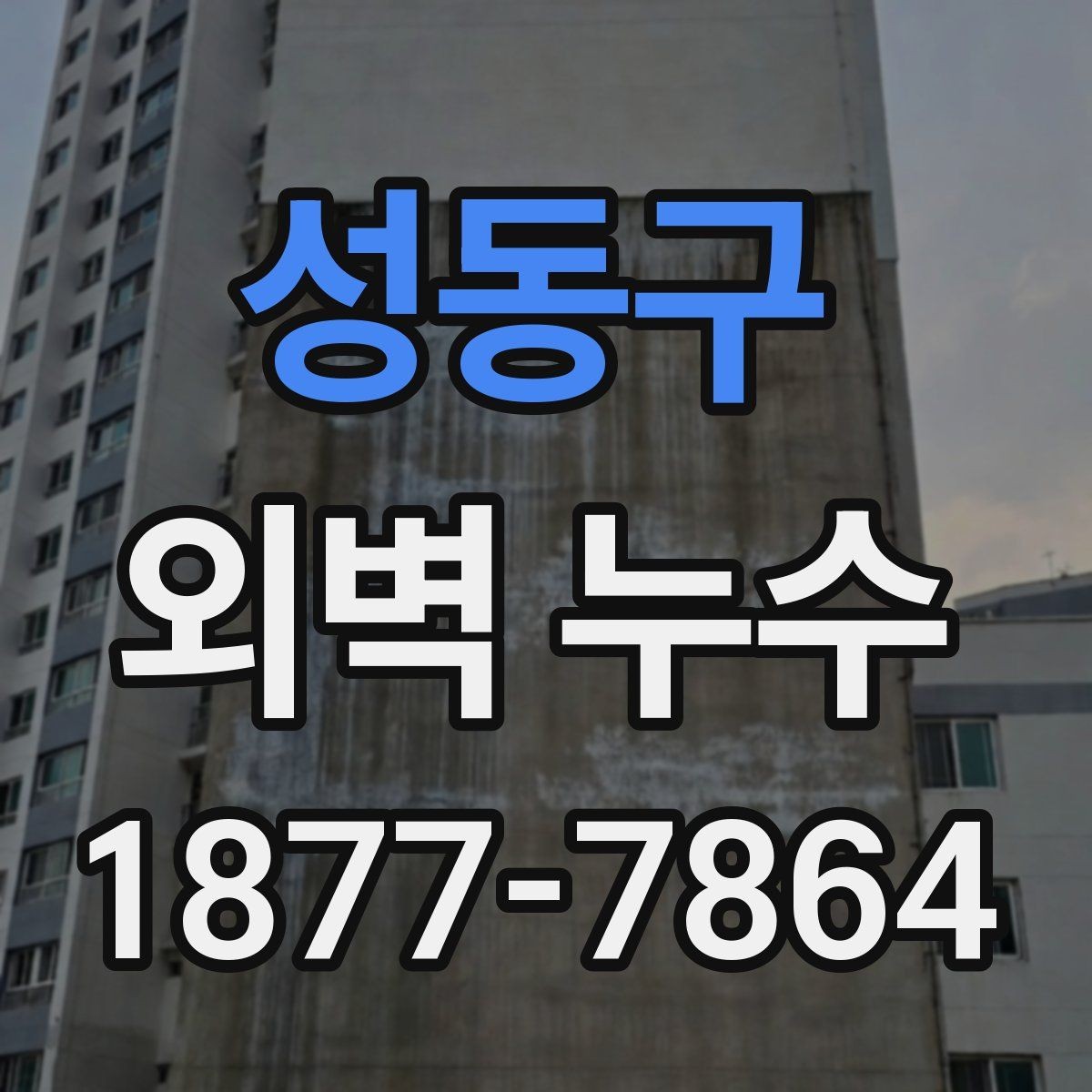 성동구 외벽 누수 점검을 맡길 때 주의할 점
