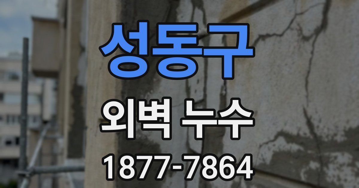 성동구 외벽 누수