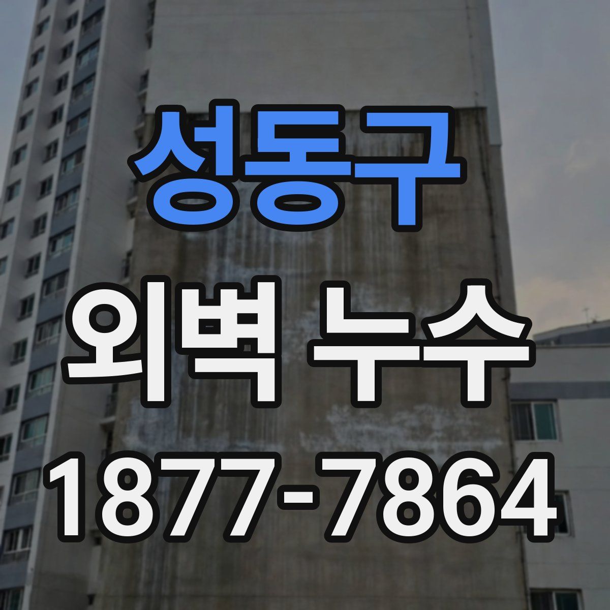 성동구 외벽 누수