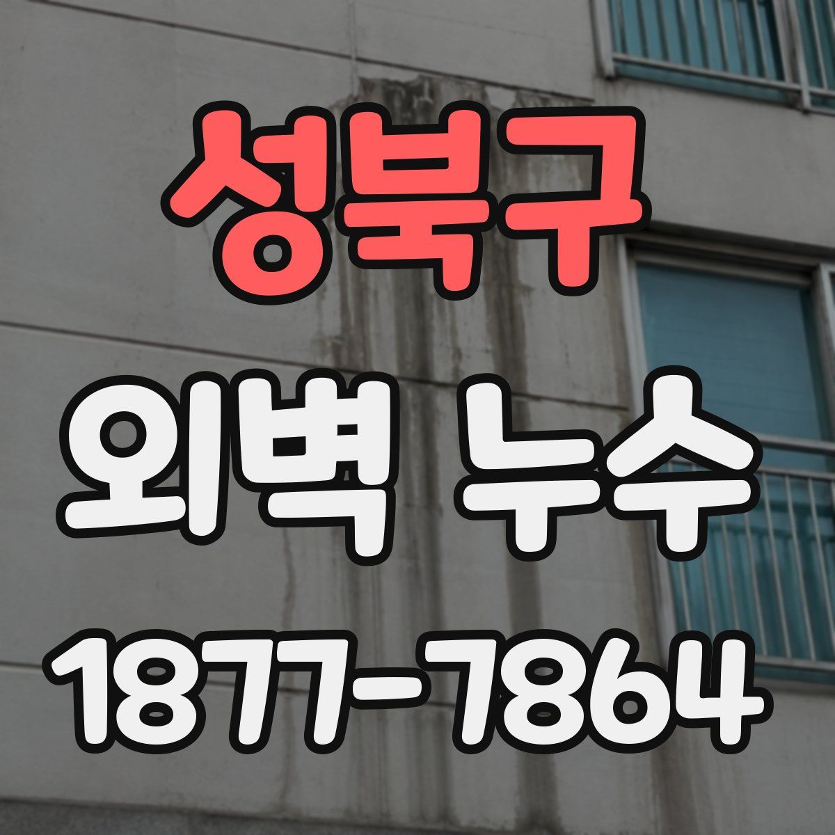 성북구 외벽 누수