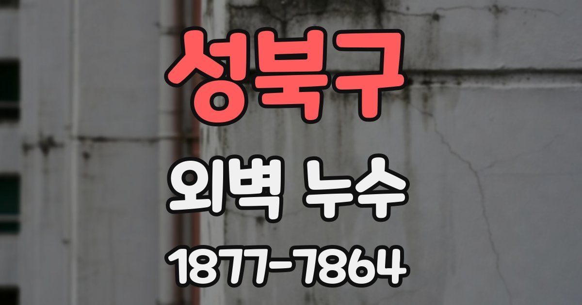 성북구 외벽 누수