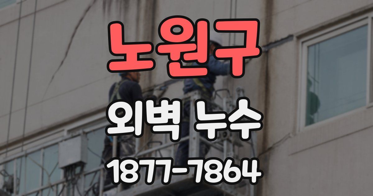 노원구 외벽 누수