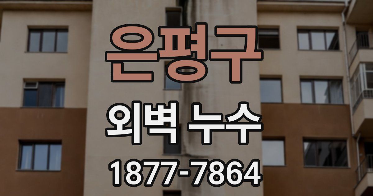 은평구 외벽 누수