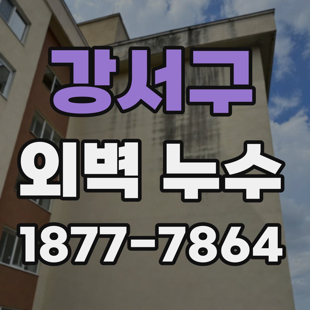 강서구 외벽 누수