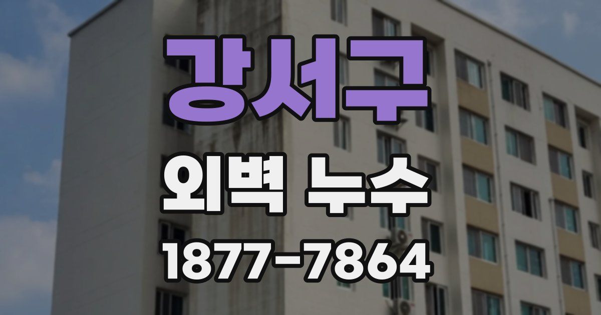 강서구 외벽 누수