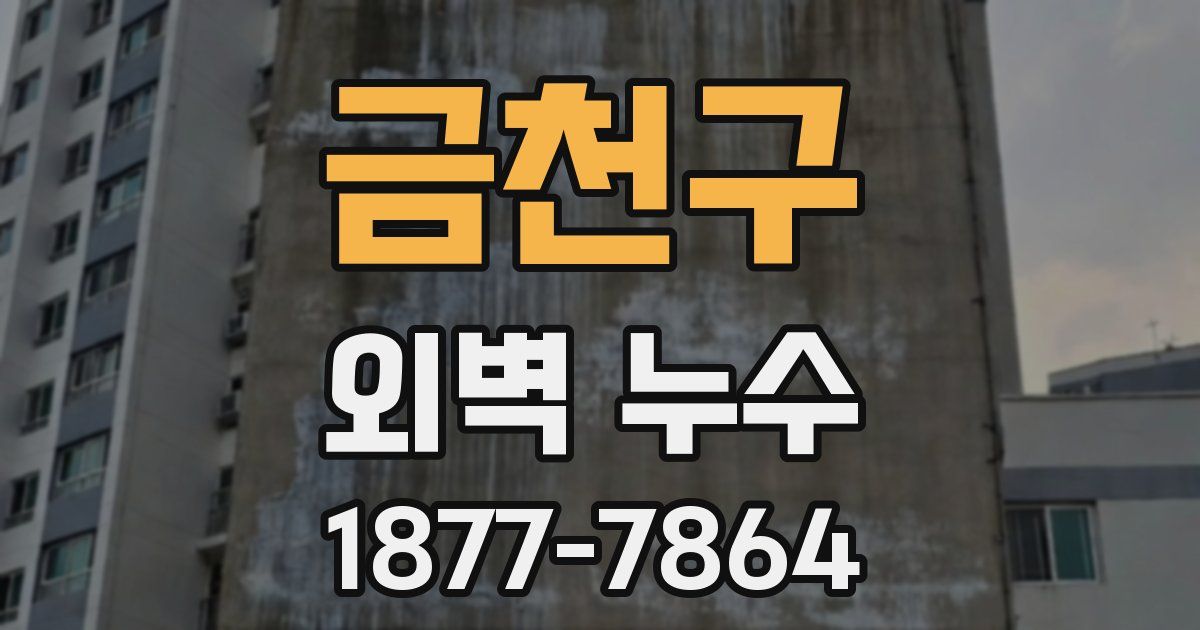 금천구 외벽 누수