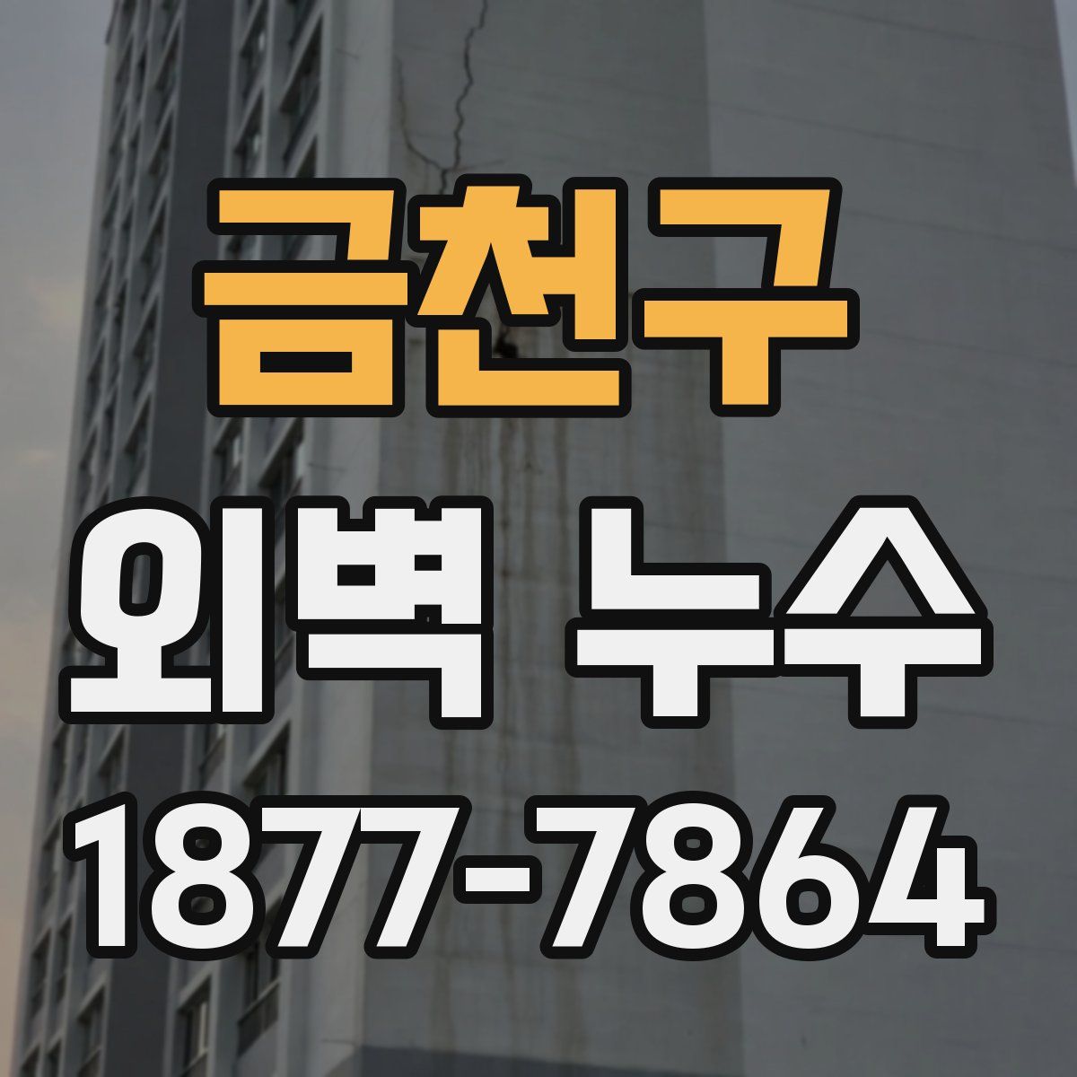 금천구 외벽 누수
