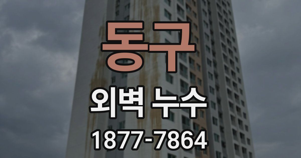 동구 외벽 누수