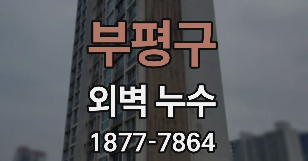 부평구 외벽 누수